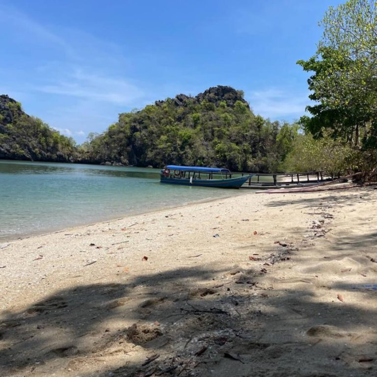 Swim at the beach
