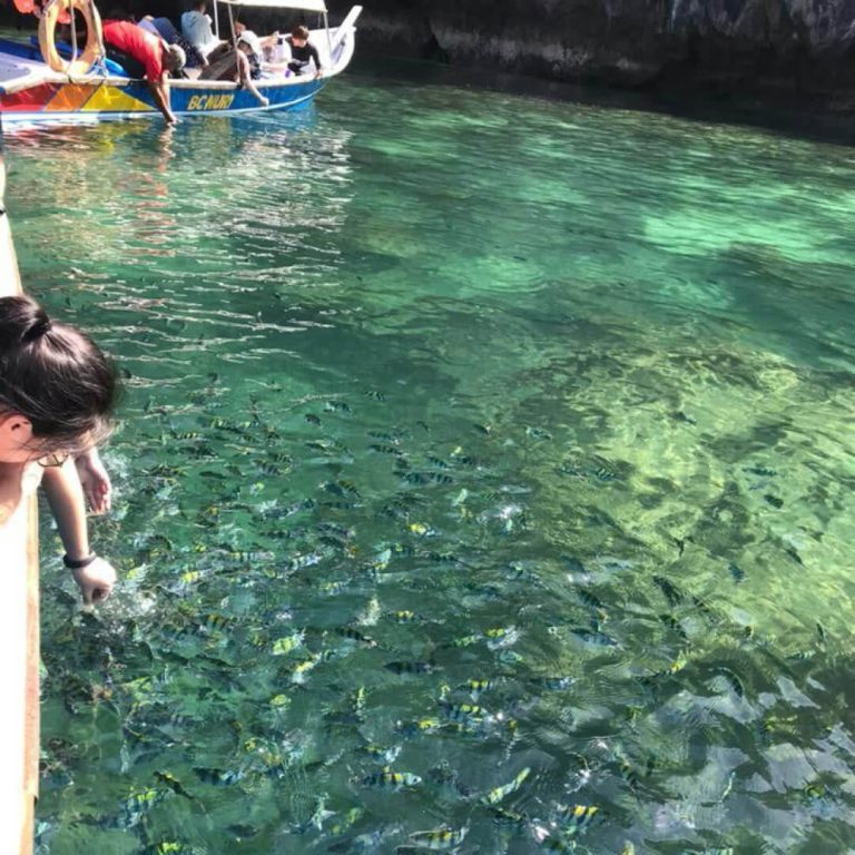 Fish feeding at Dangli Island