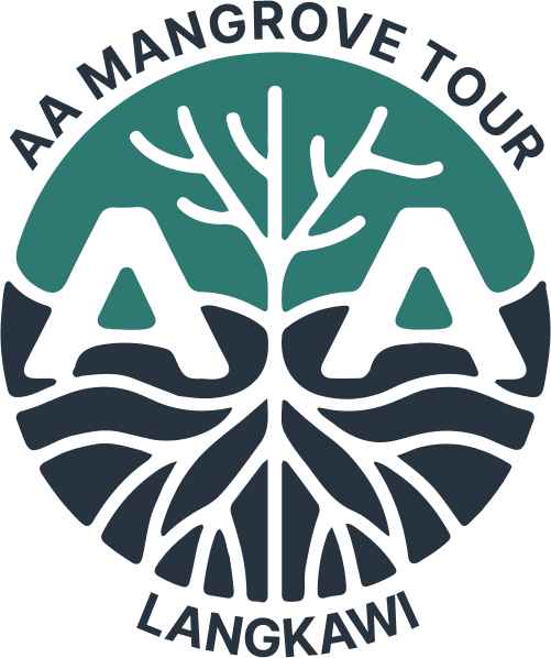AA Mangrove Tour Langkawi